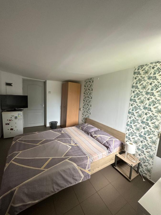 Camere De Inchiriat David Casa David Corbu Exteriör bild